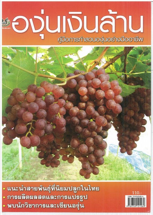 องุ่นเงินล้าน :คู่มือการทำสวนองุ่นอย่างมืออาชีพ