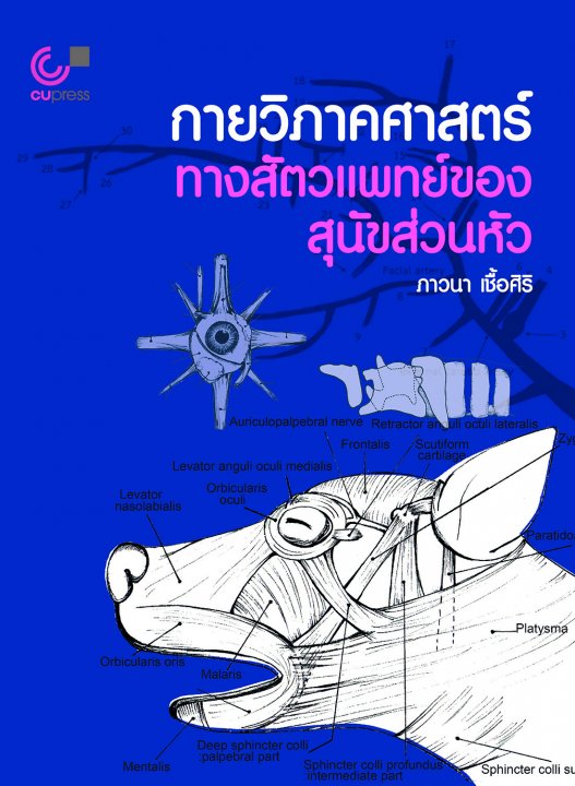 กายวิภาคศาสตร์ทางสัตวแพทย์ของสุนัขส่วนหัว