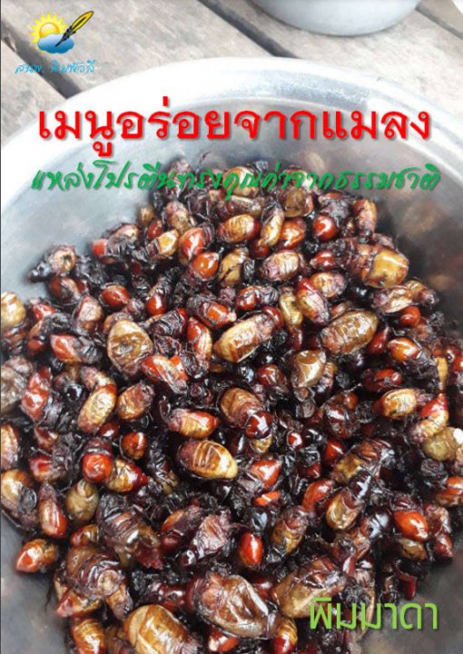 เมนูอร่อยจากแมลง