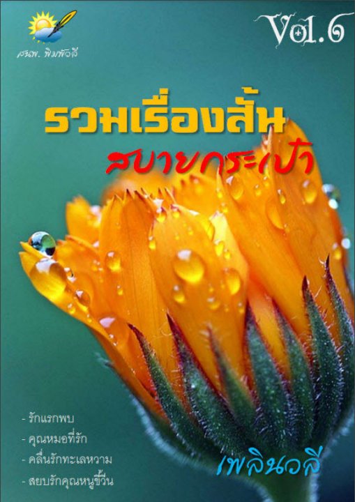 รวมเรื่องสั้น สบายกระเป๋า Vol. 6