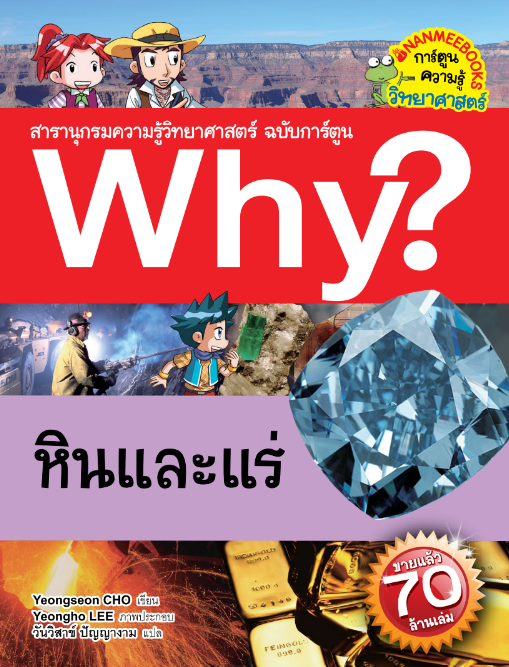 Why??�Թ������