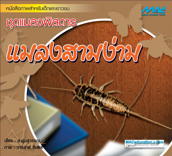 ชุดแมลงพิสดาร แมลงสามง่าม