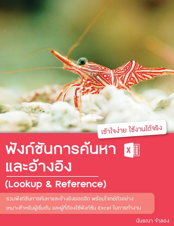 ฟังก์ชันการค้นหาและอ้างอิง ใน Excel (Lookup & Reference Functions)