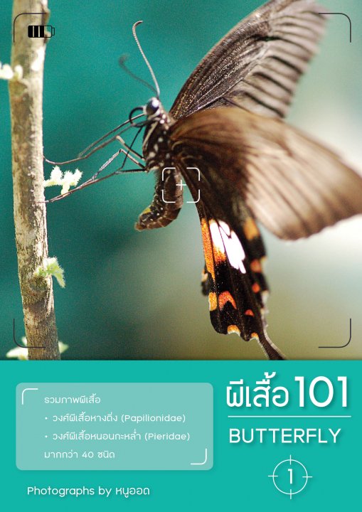 ผีเสื้อ 101 เล่ม 1 (Butterfly 101 Vol.1)