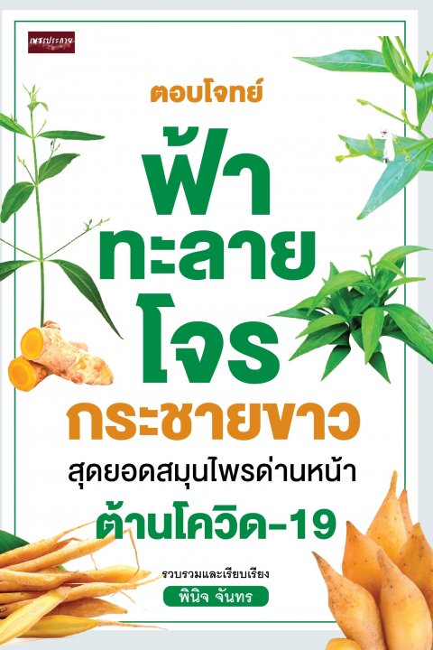 ตอบโจทย์ ฟ้าทะลายโจร กระชายขาว สุดยอดสมุนไพรด่านหน้าต้านโควิด-19