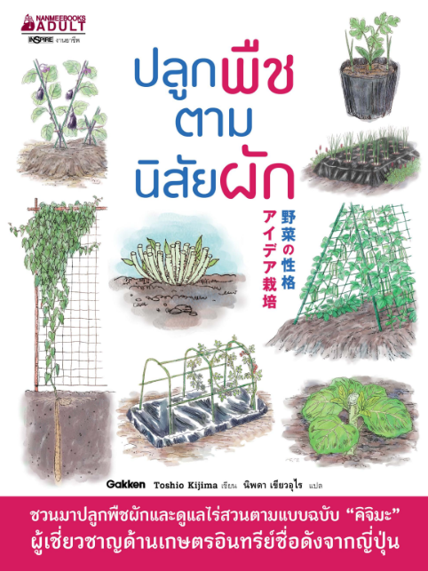 ปลูกพืชตามนิสัยผัก