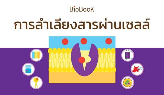 BioBook หนังสือสรุปวิชาชีววิทยา เรื่อง การลำเลียงสารผ่านเซลล์