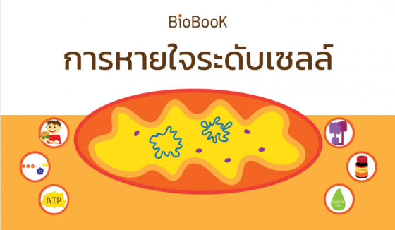 BioBook หนังสือสรุปวิชาชีววิทยา เรื่อง การหายใจระดับเซลล์