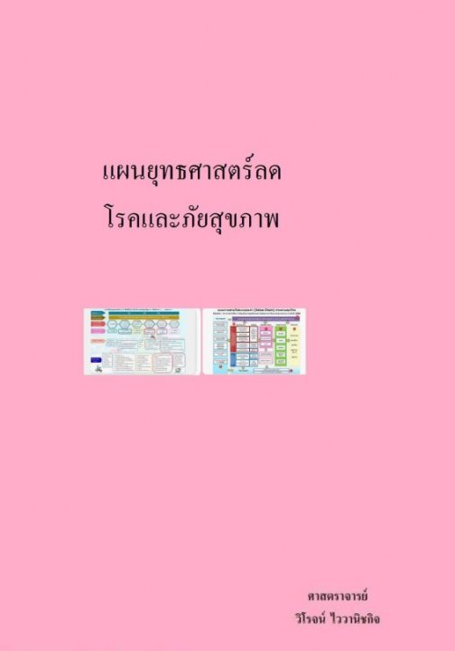 แผนยุทธศาสตร์ลดโรคและภัยสุขภาพ