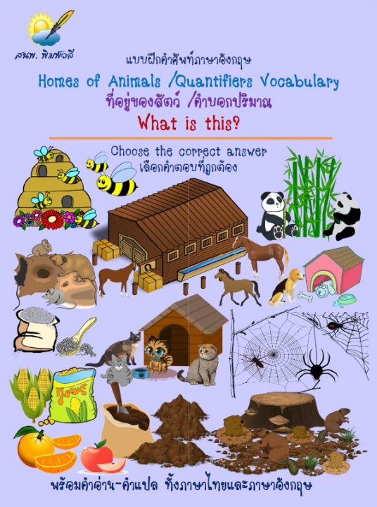Homes of Animals and Quantifiers Vocabulary What is this เลือกคำตอบที่ ...