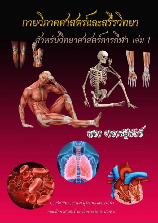 กายวิภาคศาสตร์และสรีรวิทยาสำหรับวิทยาศาสตร์การกีฬา เล่ม 1