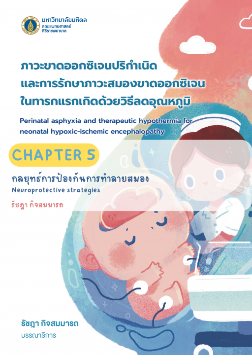 ภาวะขาดออกซิเจนปริกำเนิดและการรักษาภาวะสมองขาดออกซิเจนในทารกแรกเกิดด้วยวิธีลดอุณหภูมิ :บทที่ 5 กลยุทธ์การป้องกันการทำลายสมอง