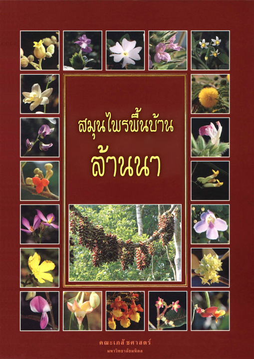 สารานุกรมสมุนไพร เล่ม 4 กกยาอีสาน