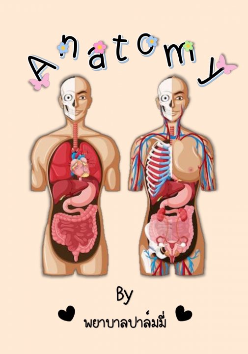 กายวิภาคศาสตร์ (Anatomy)