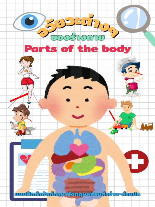 อวัยวะต่างๆของร่างกาย (Part of the body)