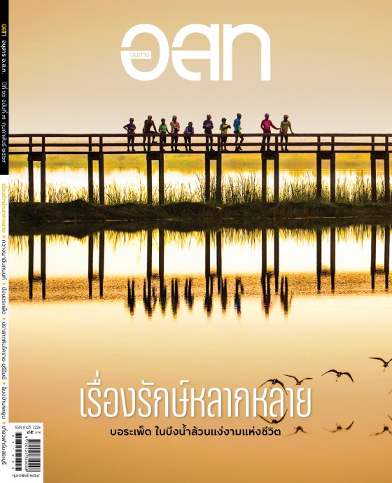 อนุสาร อ.ส.ท. ฉบับกุมภาพันธ์ 2569