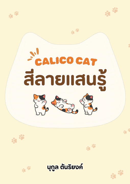 สีลายแสนรู้