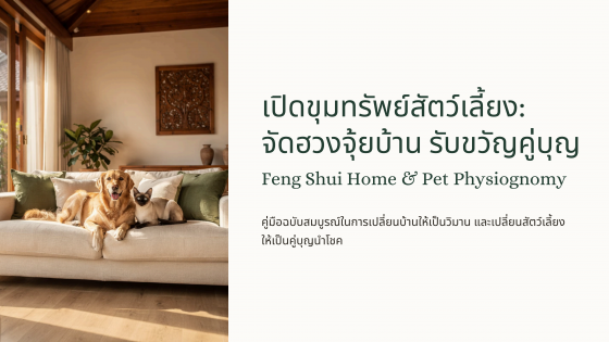 เปิดขุมทรัพย์สัตว์เลี้ยง จัดฮวงจุ้ยบ้าน รับขวัญคู่บุญ