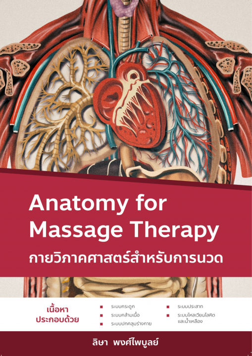 กายวิภาคศาสตร์สำหรับการนวด (Aanatomy For Massage)