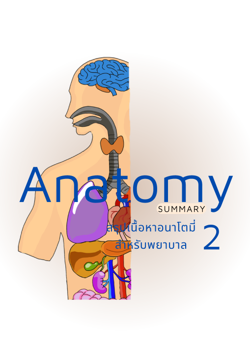 Anatomy สำหรับพยาบาล เล่ม 2 :สรุปเนื้อหาอนาโตมี่สำหรับพยาบาล