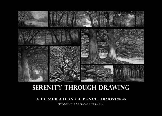 Serenity Through Drawing A Compilation of Pencil  Drawings