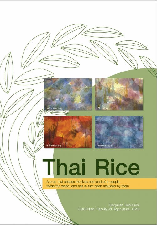 THAI RICE